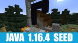 Minecraft Java 1.16.4 Seed: Village near spawn has ruined portal that goes to hoglin stables bastion