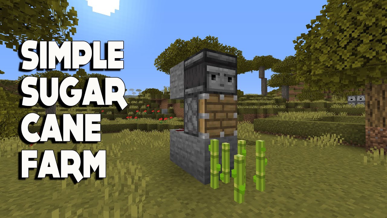Minecraft #shorts :: How to Make a SUGAR CANE FARM in 1.16.3 ...