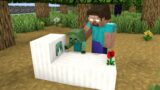 Monster School : Baby Zombie and Sad Life – Sad Story – Minecraft Animation
