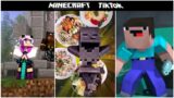 Monster School: Minecraft Monster School Tik Compilation 71