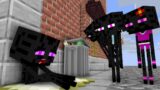 Monster  School : Poor Enderman Life Story – minecraft animation