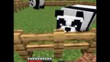 My Cute Pandas in Minecraft
