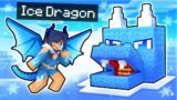 My ICE Dragon's TOP SECRET Minecraft Base!