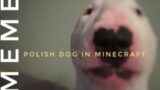 Polish Dog in Minecraft!