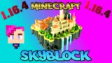 Skyblock minecraft 1.16.4