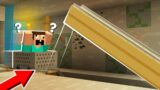 WHAT is HIDDEN in this SECRET ROOM UNDER the MINE? in Minecraft Noob vs Pro Challenge