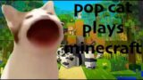 pop cat plays minecraft!