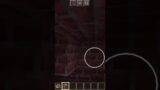 #short Minecraft see through wall life hack