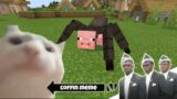 Coffin Meme but Cat is Vibing Part 4 – Minecraft