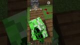 Creeper is scared | minecraft