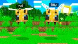 JE ME TRANSFORME EN ABEILLE PENDANT 1 JOUR sur MINECRAFT