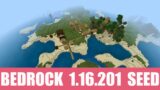 Minecraft Bedrock 1.16.201 Seed: Island village near spawn has a deadly combo with pillager outpost