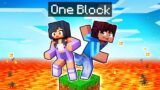 Minecraft But We're STUCK on ONE BLOCK!