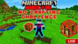 Minecraft Hardcore No Crafting Table Challenge Live