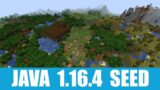 Minecraft Java 1.16.4 Seed: Woodland mansion, 2 villages, ruined portal stand near shattered savanna