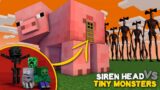 Monster School : SIREN HEAD VS TINY MONSTERS – Minecraft Animation