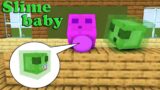 Monster School : Slime Got New Baby – minecraft animation