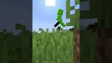 POV: You're a Block Of Dirt In Minecraft Manhunt