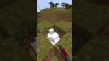 Chicken beyblade in Minecraft