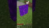 Fishing in Minecraft… wait nether portal what?