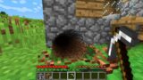 HOW NOOB FOUND TUNNEL UNDER HOUSE IN VILLAGE!? Minecraft NOOB vs PRO! 100% TROLLING TRAP HOLE PIT