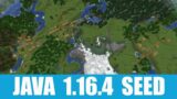 Minecraft Java 1.16.4 Seed: Three villages at spawn, one of which is zombie village with blacksmith