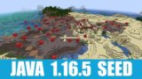 Minecraft Java 1.16.5 Seed: Mushroom island village with desert temple at spawn