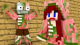 Monster School : ZOMBIE PIGMAN LOVE CURSE CHALLENGE – Minecraft Animation
