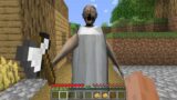 This Realy Granny in Minecraft – I Found it