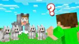 Which WOLF Is The REAL SLOGO!? (Minecraft Guess Who)