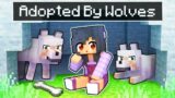 Adopted By WOLVES In Minecraft!