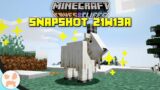 GOATS, NEW LIGHT BLOCK, + MORE! | Minecraft 1.17 Caves and Cliffs Snapshot 21w13a