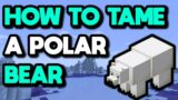 How to Tame a Polar Bear in Minecraft 1.16 #Shorts