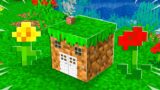 I Built the World's SMALLEST Minecraft House! *tiny*