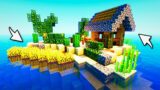 Minecraft Island Transformed: Timelapse