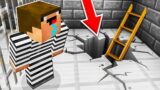 Minecraft NOOB vs PRO vs HACKER vs GOD BATTLE – PRISON ESCAPE CHALLENGE in Minecraft AVM Animation