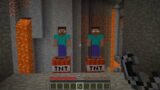 Steve or Herobrine? | Tiktok Minecraft Compilation