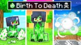 The BIRTH to DEATH of a Minecraft Creeper!