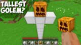 What HAPPENS if you SPAWN the TALLEST GOLEM in Minecraft ? SUPER GOLEM !