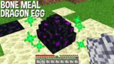 what IF USE BONE MEAL on DRAGON EGG in Minecraft ???