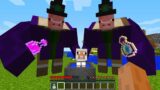 CURSED MINECRAFT BUT IT'S UNLUCKY LUCKY FUNNY MOMENTS PIG WITCH AND SHEEP
