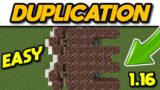 Minecraft 1.16 Multiplayer Duplication Glitch #Shorts
