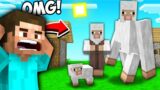 Minecraft, But EVERYONE IS A SHEEP!