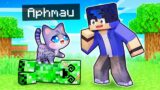 Minecraft But We Play As HELPFUL KITTENS!