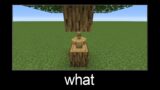 Minecraft wait what meme part 57 (armor stands in tree)