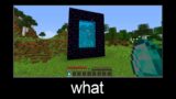 Minecraft wait what meme part 60 (diamond portal)