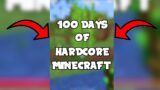 100 Days of Hardcore Minecraft!! (Day 1)