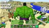 HOW THE HULK SAVED THIS VILLAGE IN MINECRAFT Inventory Noob vs Pro