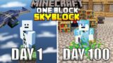 I Spent 100 Days In One Block Minecraft And Here's What Happened…