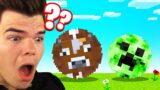 MOBS Are ROLLING In MINECRAFT… (FUNNY)